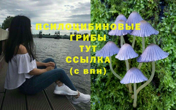 спайс Переславль-Залесский