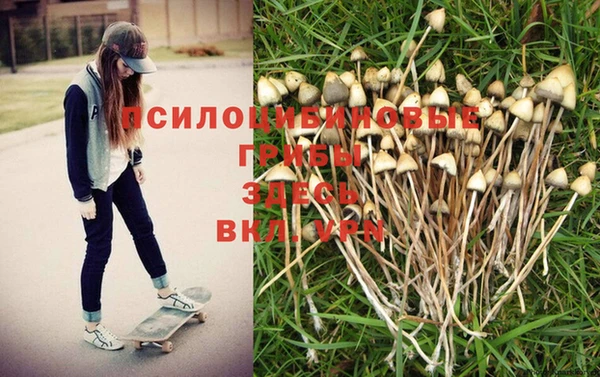 герыч Балахна