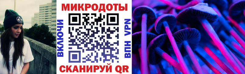 наркота Вязьма Галлюциногенные грибы Psilocybe